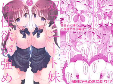 d_658141双子ニート妹は性欲強めーFANZA 同人 漫画