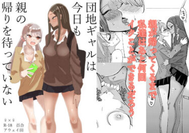d_192845団地ギャルは今日も親の帰りを待っていないーFANZA 同人 漫画