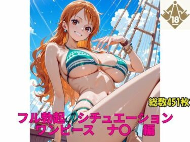 d_657902フル勃起シチュエーション  ワンピース  ナ〇  編ーFANZA 同人 漫画